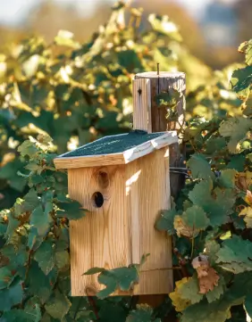 logo champagne bulle chillelysium epernay